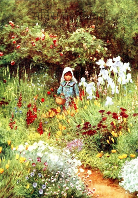 सर्विस के 25 वर्ष