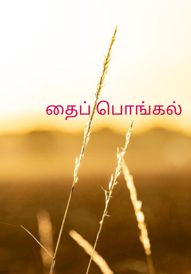 தைப் பொங்கல்