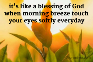 it's like a blessing of God when morning breeze touch your eyes softly everyday
