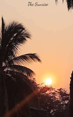 The Sunrise