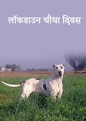 लाॅकडाउन चौथा दिवस