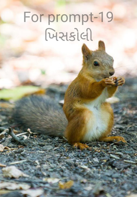 ખિસકોલી