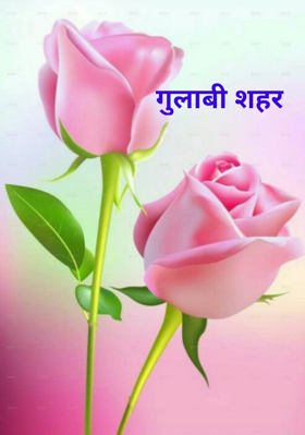 गुलाबी शहर