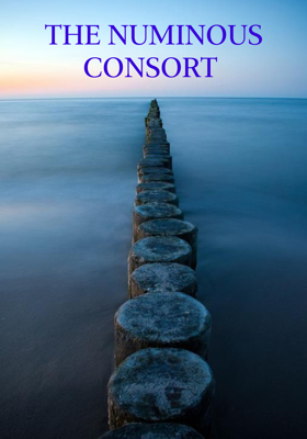 THE NUMINOUS CONSORT 