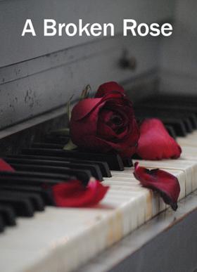 A Broken Rose