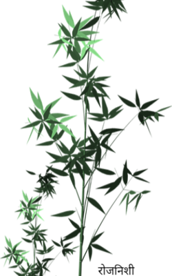 रोजनिशी