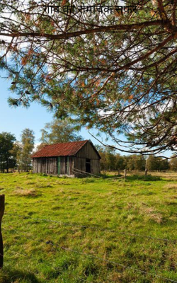 गांव का रोमांचक सफ़र