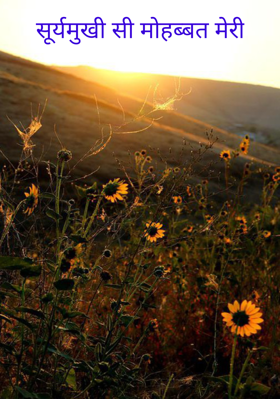 सूर्यमुखी सी मोहब्बत मेरी