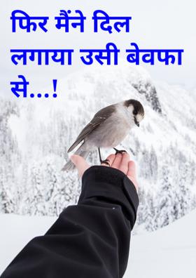 फिर मैंने दिल लगाया उसी बेवफा से