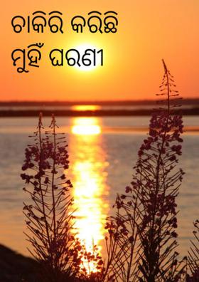 ଚାକିରି କରିଛି ମୁହିଁ ଘରଣୀ