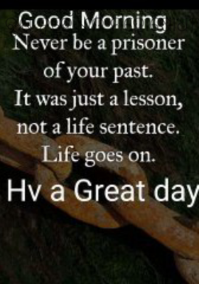 ବୃକ୍ଷ ନୁହେଁ ଏତ ମହୋଷଧି