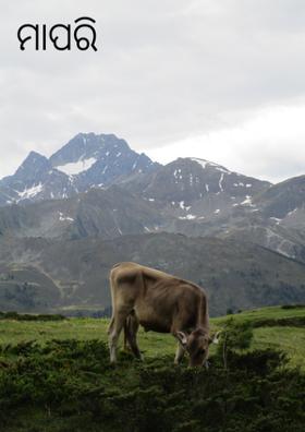 ମାଆ ପରି ଗାଈ