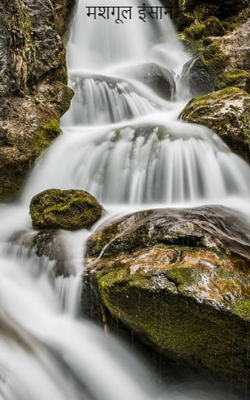 मशगूल इंसान