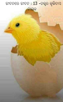 ଜୀବନରେ ଜୀବନ : 13 -ଡକ୍ଟର କୃତ୍ତିବାସ ନାୟକ