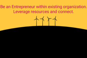 Be an Entrepreneur within existing organization. Leverage resources and connect.