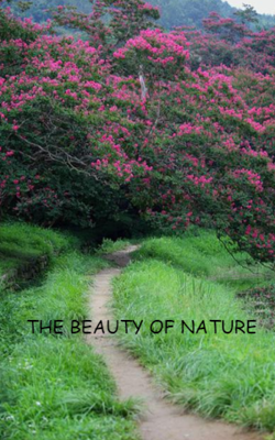 The Beauty of Nature