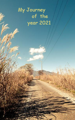 My Journey Of The Year 2021