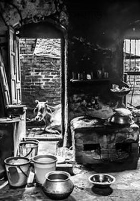 ১/২ মেসবাড়ি