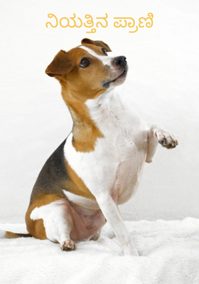 ನಿಯತ್ತಿನ ಪ್ರಾಣಿ