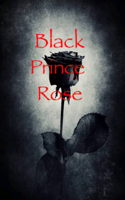 Black Prince Rose