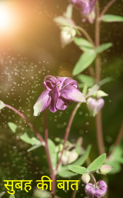 सुबह की बात