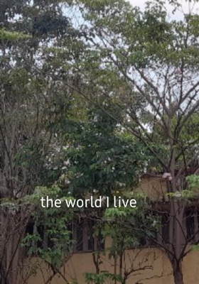 The World I Live