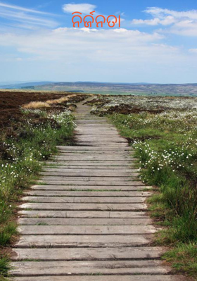 ନିର୍ଜନତା