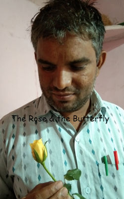 The Rose And The Butterfly