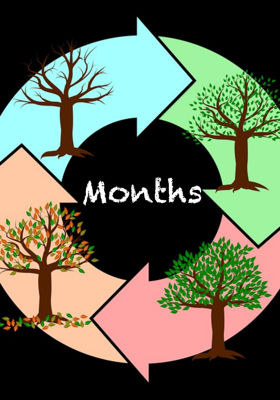 Months