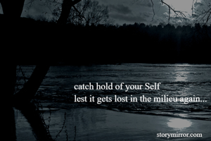 catch hold of your Self
lest it gets lost in the milieu again...