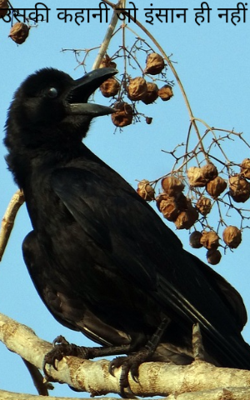 उसकी कहानी जो इंसान ही नहीं