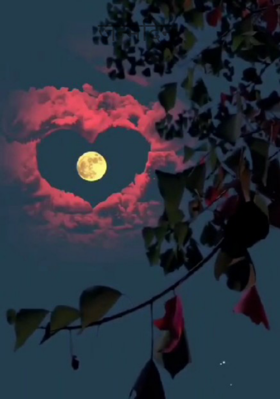 जन्मदिन