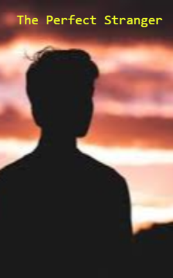 The Perfect Stranger