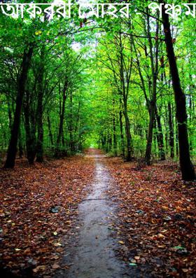 আকবরী মোহর - পঞ্চম পর্ব