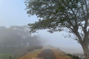 ପରିବେଶ ସୁରକ୍ଷା ପାଇଁ ବୃକ୍ଷ ରୋପଣ ର ଆବଶ୍ୟକତା ରହିଛି,ସେ ହିଁ ପ୍ରକୃତ ବନ୍ଧୁ ବିନା ସ୍ବାର୍ଥ ରେ ଆମର ସେବା କରିଚାଲିଥାଏ