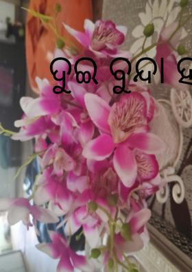 ଦୁଇ ବୁନ୍ଦା ହସ