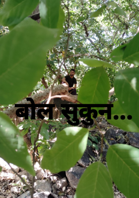 बोल सुकून...