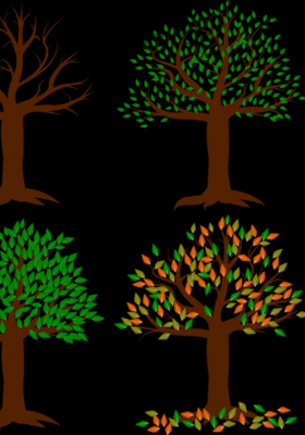 પાનલીલુ જોયૂ