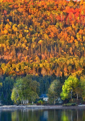 ऋतुराज वसंत