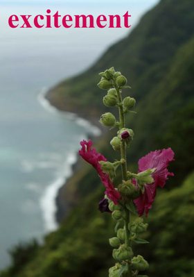 Excitement