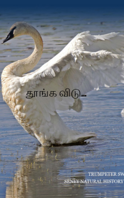 தூங்க விடு...