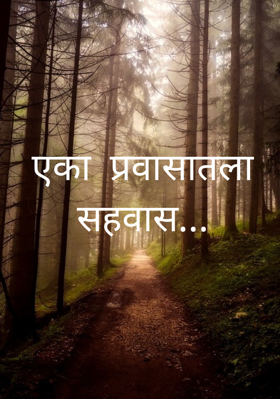 एका प्रवासातला सहवास...