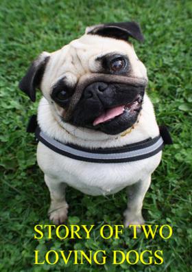 Story Of Two Loving Dogs