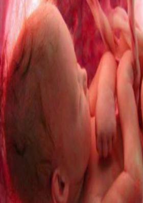 भ्रूण कन्येचा टाहो