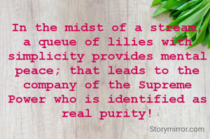 In the midst of a stream, a queue of lilies with simplicity provides mental peace; that leads to the company of the Supreme Power who is identified as real purity!