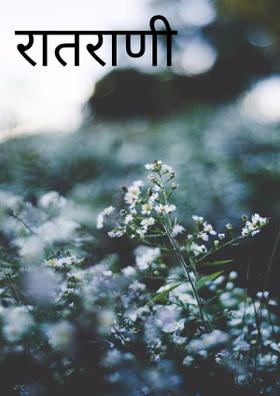 रातराणी