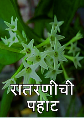 रातरणीची पहाट