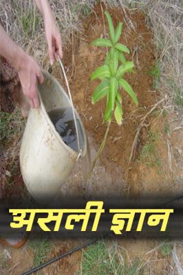 असली ज्ञान