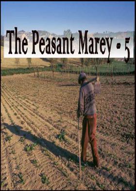 The Peasant Marey - 5