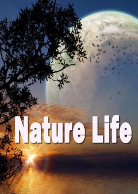 Nature Life